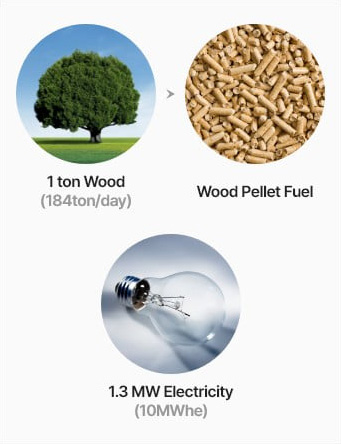 1ton ood > Wood Pellet Fuel > 1.3MW Electricity